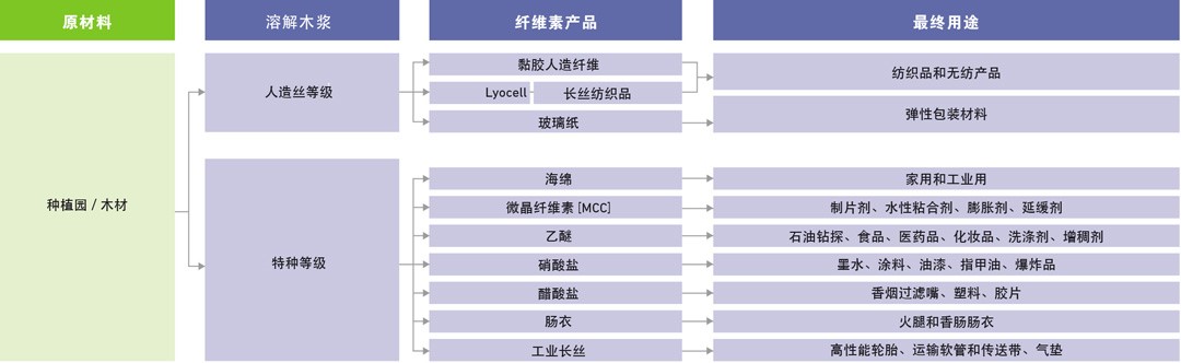 賽得了.jpg