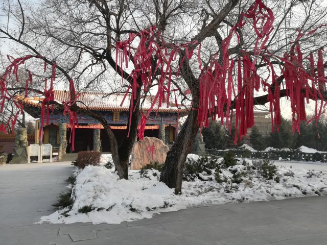 G . 黑龍江大慶果成寺-2 - 艾克森換熱器案例圖片